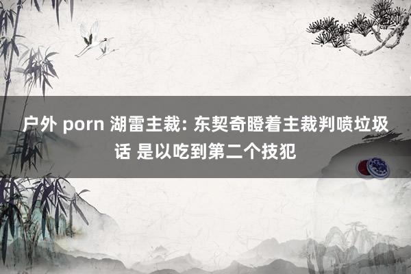 户外 porn 湖雷主裁: 东契奇瞪着主裁判喷垃圾话 是以吃到第二个技犯